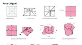 Оригами роза Кавасаки (новая роза Кавасаки) Розы оригами из бумаги своими руками легкая